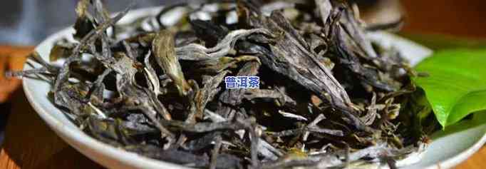 普洱茶的纯料是啥意思，解析茶叶术语：什么是普洱茶的“纯料”？