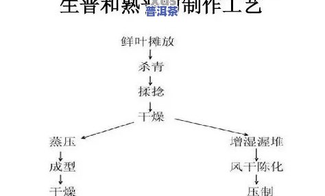 老班章生产厂家，揭秘老班章生产厂家：深入熟悉这款知名普洱茶的制作过程