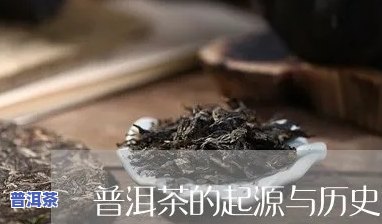 追寻普洱茶的历史韵味作文，寻味历史：探寻普洱茶的特别韵味