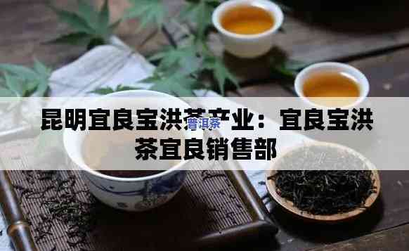 宜良宝洪茶厂：电话、地址一览