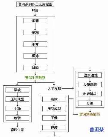 1973年普洱茶：价格、加工工艺变化全解析