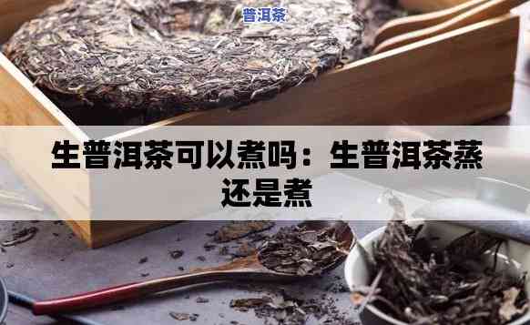 普洱茶生茶能用壶煮吗-普洱茶生茶能用壶煮吗怎么煮