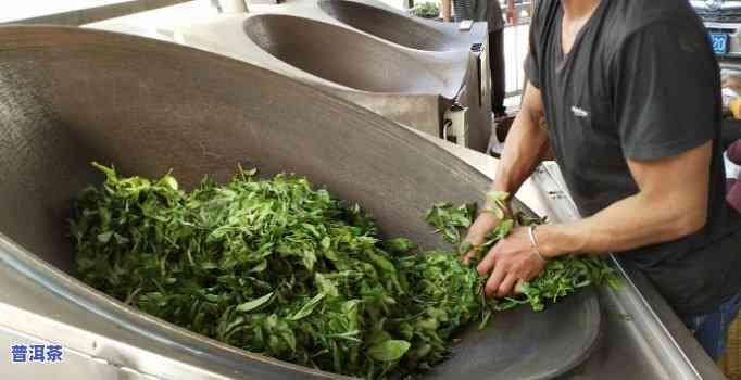 普洱茶杀青温度多少为更好，掌握更佳温度：普洱茶杀青的秘诀