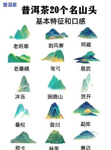 云南各山头的茶特色解析：品种、口感、香气各异