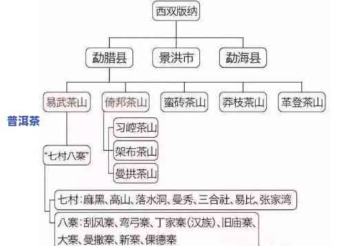 云南普洱的品质特征有哪些，探秘云南普洱的特别品质特征