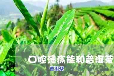 普洱茶的功效口腔溃疡-普洱茶的功效口腔溃疡可以喝吗