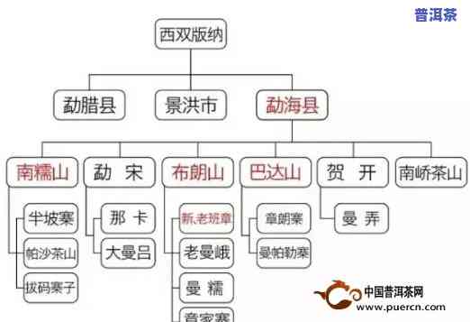 帕沙普洱茶特点产地，探秘帕沙普洱茶：特点与产地解析