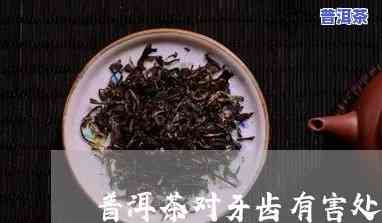 拔完智齿后可以喝普洱茶吗？有何作用？