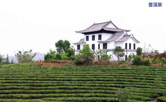 中华普洱茶博览苑图片，探索茶文化：中华普洱茶博览苑的精美图片展示