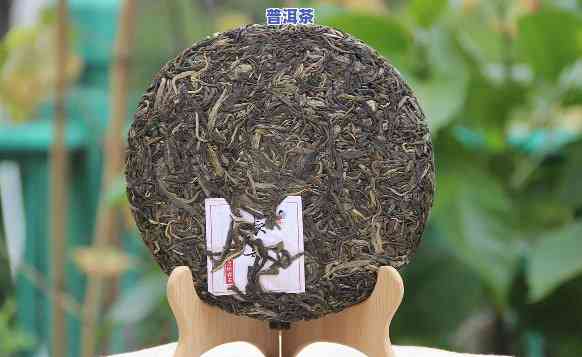 好喝不贵的古树普洱茶及品种推荐