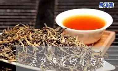 买普洱茶小哥视频：他是谁？详解购买过程与茶叶品质