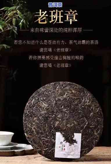 陈年老班章茶的特点：口感醇厚，香气特别，回甘持久