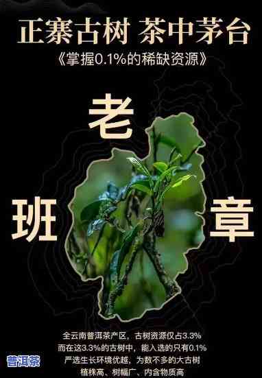 陈年老班章茶的特点：口感醇厚，香气特别，回甘持久