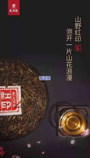 普洱茶的包纸材质：详细解析与图片展示