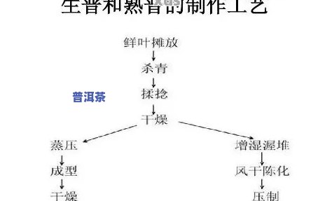 普洱茶新工艺怎样辨别，掌握普洱茶新工艺：辨别技巧大揭秘