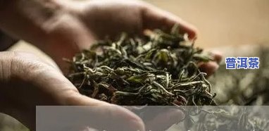 钾高磷高能喝普洱茶吗-血钾高能喝普洱茶吗