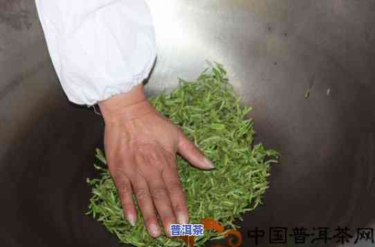 普洱茶铁锅炒制的年代-普洱茶铁锅炒制的年代是哪一年