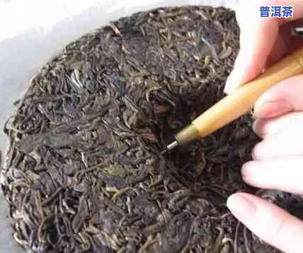 普洱茶开法全攻略：从开罐到泡饮，一文详解