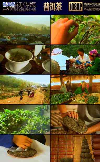 普洱茶炒茶视频教学，学会制作美味的普洱茶：炒茶视频教学