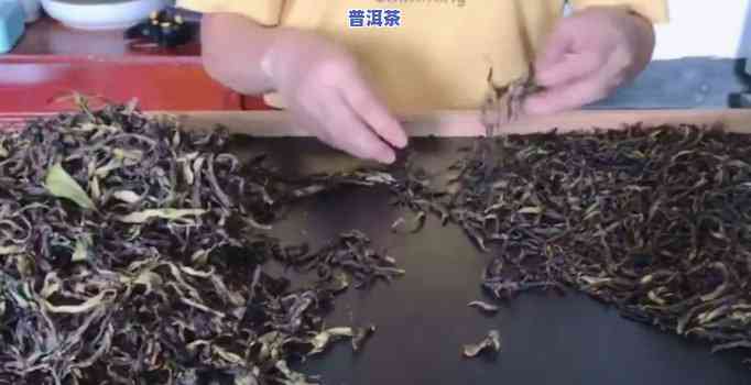 普洱茶炒茶视频教学，学会制作美味的普洱茶：炒茶视频教学