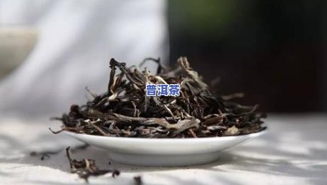 普洱茶怎么分陈茶新茶-普洱茶怎么分陈茶新茶和老茶