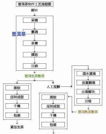 讲解一下普洱茶，深度解析：熟悉普洱茶的起源、制作工艺和品鉴方法