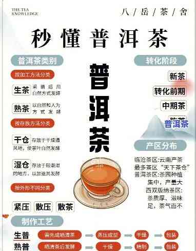 鸡汤般鲜爽的普洱茶：名字、制作方法与健康功效全解析