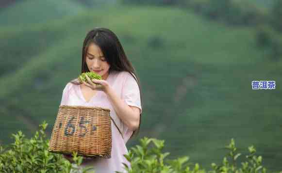 爱普洱茶的  姐图片-爱普洱茶的  姐图片大全