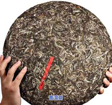 普洱茶3000克大饼，品尝云南风情：3000克普洱茶大饼