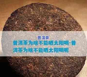 普洱茶怕灯光照射吗？阳光、晒太阳的作用又怎样？