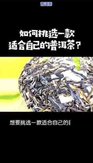 我想把你泡进普洱茶里 - 你听过的那首歌叫什么？