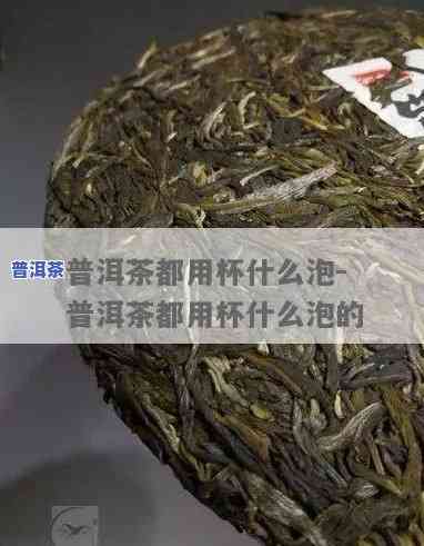 我想把你泡进普洱茶里-我想把你泡进普洱茶里是什么歌