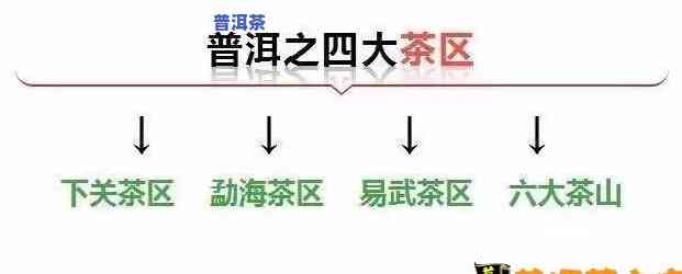 普洱茶直播供应链基地位置查询