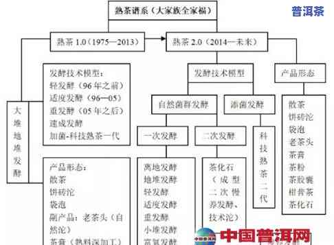 普洱茶直播供应链基地有哪些，揭秘普洱茶直播供应链基地，一文看懂茶叶生产全过程