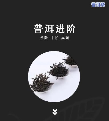 全程教学：普洱茶直播视频教程下载