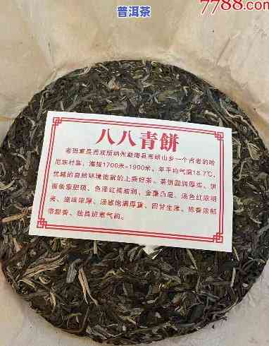 八八青饼是哪个山头的茶，探寻茶叶珍品：八八青饼的产地之谜