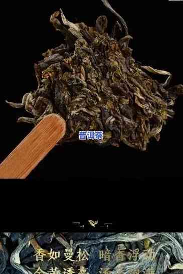 曼松普洱生茶价格多少？一斤售价及档次解析