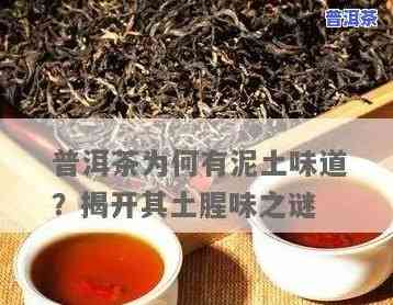 普洱茶咋有土腥味儿呢能喝吗，疑惑普洱茶的土腥味：是不是能饮用？