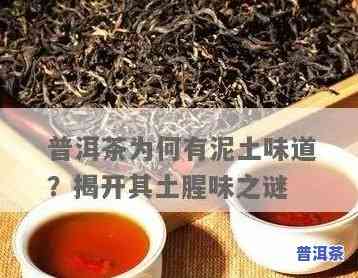 普洱茶有土腥味正常吗？起因及能否饮用解析