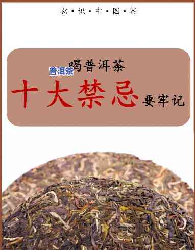 千年古树普洱茶的禁忌-千年古树普洱茶的禁忌有哪些