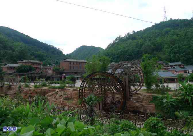 茶马古道普洱茶特级品-茶马古道普洱茶价格