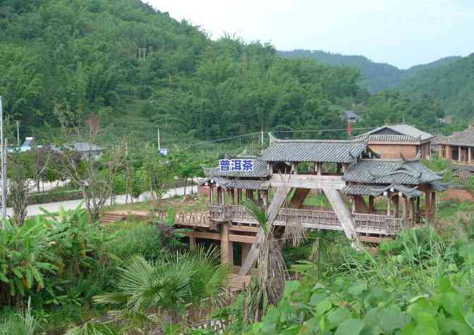 茶马古道普洱茶特级品-茶马古道普洱茶价格