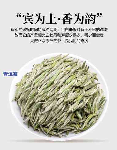 岁月留香茶叶白毫银针价格，探索品质生活：岁月留香茶叶白毫银针的价格解析