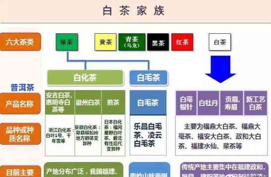 老班章与福鼎白茶的区别，品味差异：老班章与福鼎白茶的口感比较