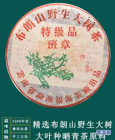 普洱茶2006年茶饼-2006年的普洱茶饼值多少钱