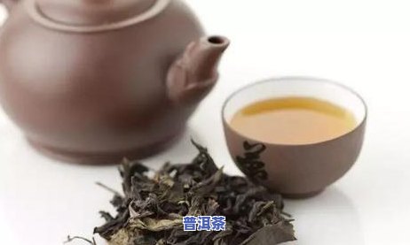 云南白茶普洱茶怎么选-云南白茶普洱茶怎么选择好