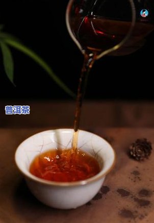 普洱茶哪个等级口感更佳？详解各等级特点与推荐