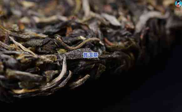 普洱茶饼有虫怎么办？能否饮用？解决方法解析