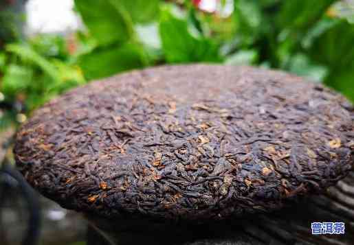 普洱茶饼生虫吗能喝吗-普洱茶饼生虫吗能喝吗有吗