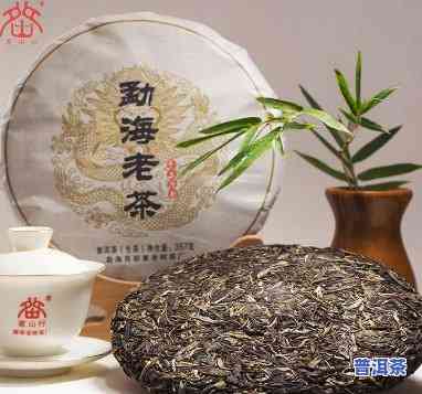 云南勐海普洱茶老树茶-勐海老树普洱茶多少钱